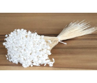 GLIXIA ΑΣΠΡΟ 45cm 0943030 GLIXIA ΑΣΠΡΟ 45cm 0943030