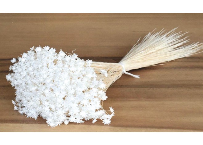 GLIXIA ΑΣΠΡΟ 45cm 0943030 GLIXIA ΑΣΠΡΟ 45cm 0943030