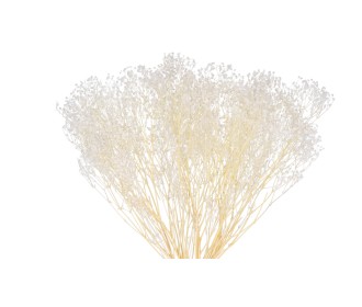 GYPSOPHILA 100gr ΛΕΥΚΑΜΕΝΟ 35cm 0944030