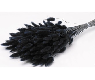 LAGURUS 65cm ΜΑΥΡΟ 0952510 LAGURUS 65cm ΜΑΥΡΟ 0952510
