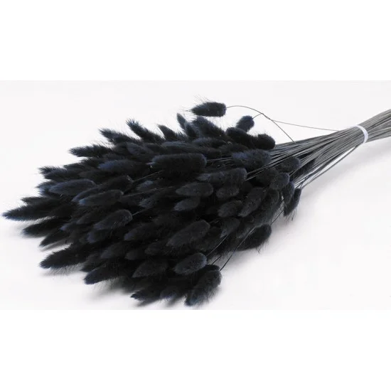 LAGURUS 65cm ΜΑΥΡΟ 0952510
