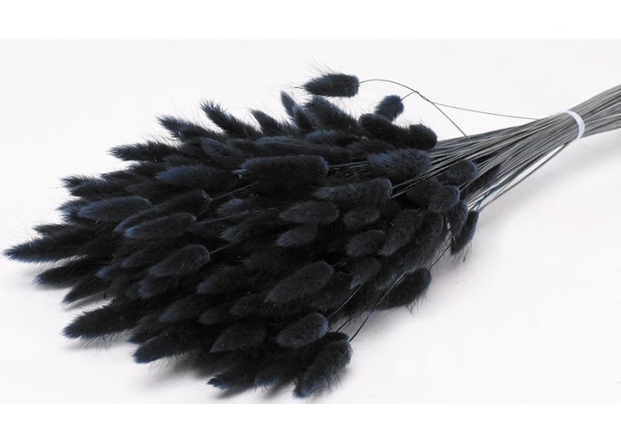 LAGURUS 65cm ΜΑΥΡΟ 0952510