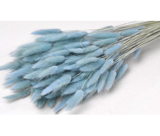 LAGURUS 65cm ΜΠΛΕ 0952531