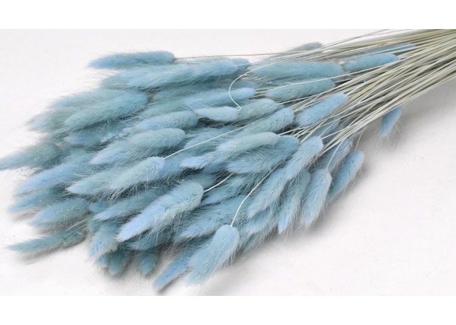 LAGURUS 65cm ΜΠΛΕ 0952531 LAGURUS 65cm ΜΠΛΕ 0952531