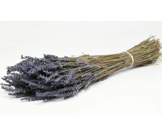 DRIED LAVENDIN 40cm 0953400 DRIED LAVENDIN 40cm 0953400