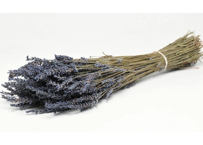 DRIED LAVENDIN 40cm 0953400 DRIED LAVENDIN 40cm 0953400