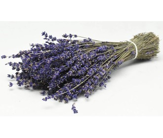 DRIED LAVENDER 70gr 25cm 0953500