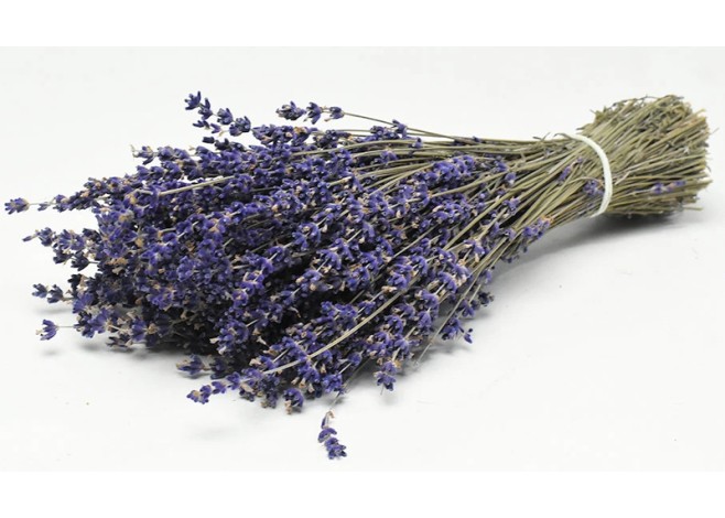DRIED LAVENDER 70gr 25cm 0953500 DRIED LAVENDER 70gr 25cm 0953500
