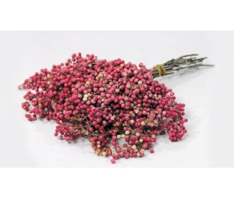 PEPPERBERRIES ΡΟΖ 35cm 0963300 PEPPERBERRIES ΡΟΖ 35cm 0963300