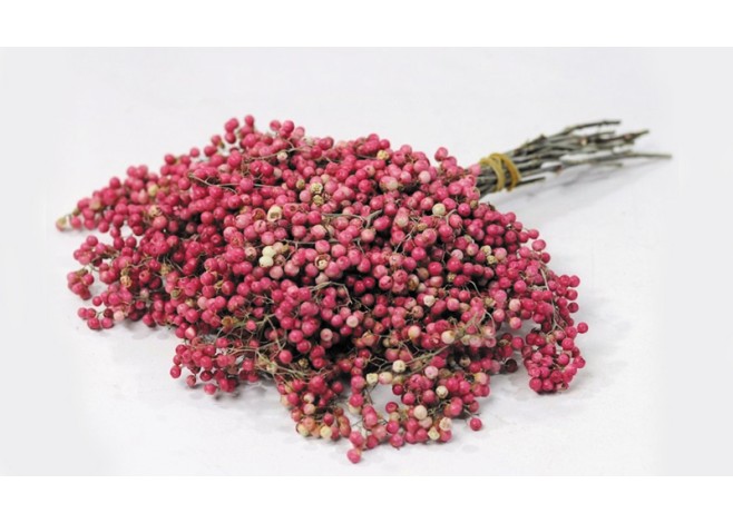PEPPERBERRIES ΡΟΖ 35cm 0963300 PEPPERBERRIES ΡΟΖ 35cm 0963300