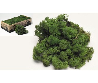 MOSS 500g 0967703 MOSS 500g 0967703