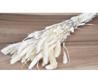 SETARIA ΛΕΥΚΑΜΕΝΟ 100gr 65cm 0970930 SETARIA ΛΕΥΚΑΜΕΝΟ 100gr 65cm 0970930
