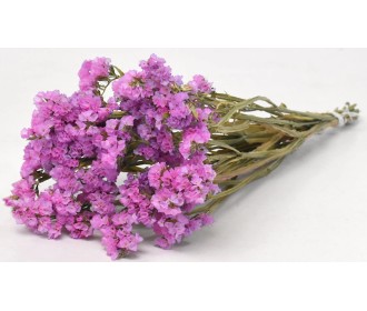 STATICE SINUATA ΛΙΛΑ 45 cm 0972604