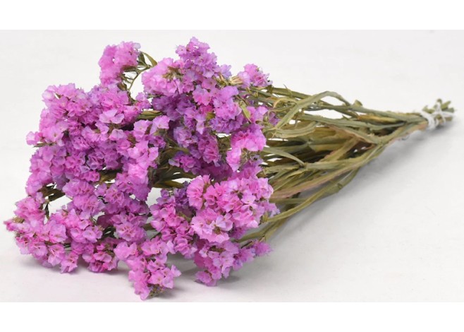 STATICE SINUATA ΛΙΛΑ 45 cm 0972604 STATICE SINUATA ΛΙΛΑ 45 cm 0972604