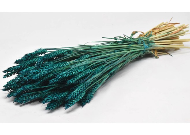 TRITICUM COLOR 70cm ΠΕΤΡΟΛ 0977518 TRITICUM COLOR 70cm ΠΕΤΡΟΛ 0977518