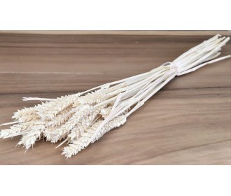 TRITICUM ΛΕΥΚΑΜΕΝΟ 70cm 0977530