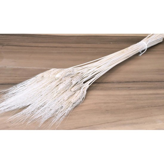 WHEAT BEARDED ΛΕΥΚΑΜΕΝΟ 150gr 90cm 0977630 WHEAT BEARDED ΛΕΥΚΑΜΕΝΟ 150gr 90cm 0977630