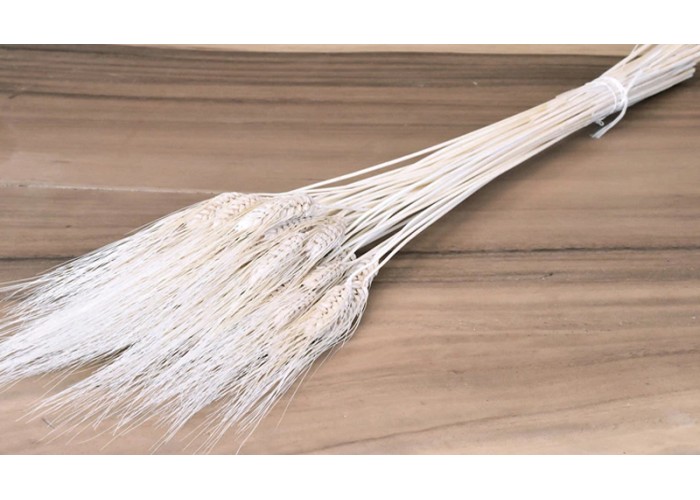 WHEAT BEARDED ΛΕΥΚΑΜΕΝΟ 150gr 90cm 0977630