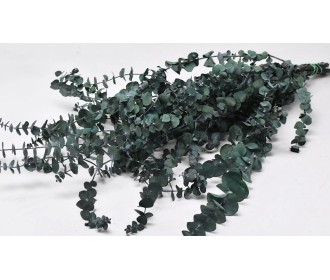 EUCALYPTUS BABY GREEN 65cm 120gr 0981603