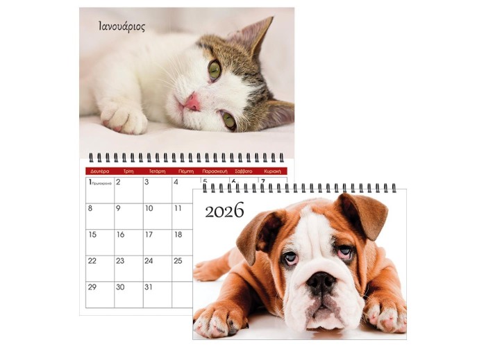 Next μηνιαίο πλάνο τοίχου 2026 dogs - cats σπιράλ 20x23εκ., 13φ.