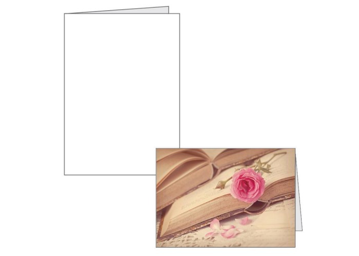 Ευχετήριες κάρτες λευκές, διπλές 12.5x17.5εκ. (κλειστές) Ευχετήριες κάρτες λευκές, διπλές 12.5x17.5εκ. (κλειστές)