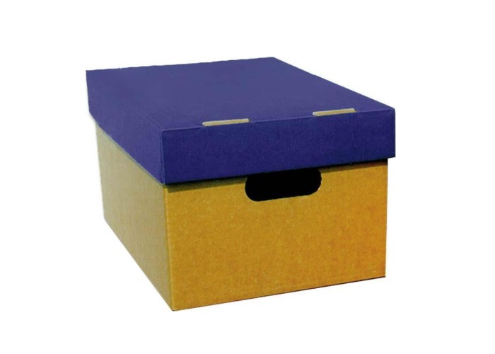 Next κουτί classic μπλε καπάκι Α3 Υ21x32x44εκ.