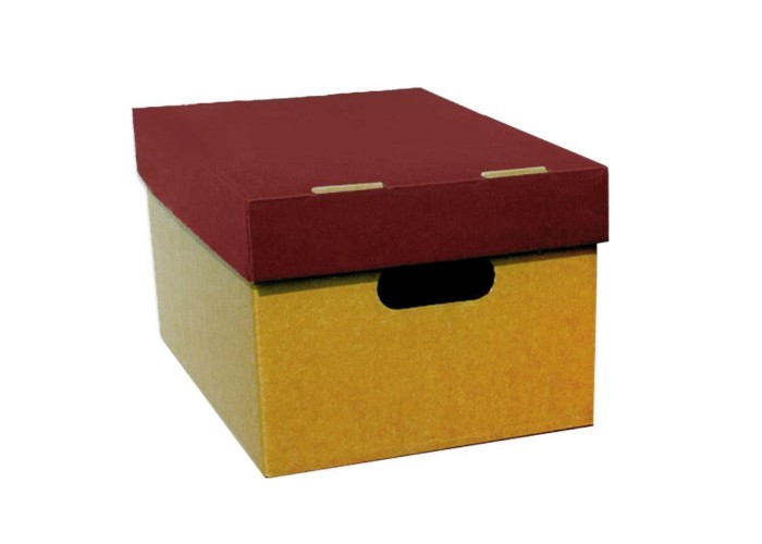 Next κουτί classic μπορντώ καπάκι Α3 Υ21x32x44εκ.