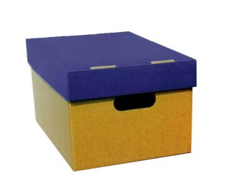 Νext κουτί classic μπλε καπάκι Α4 Υ18x23x32εκ.