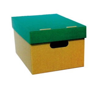 Νext κουτί classic πράσινο καπάκι Α4 Υ18x23x32εκ.