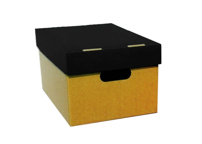 Νext κουτί classic μαύρο καπάκι Α4 Υ18x23x32εκ.