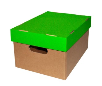 Νext κουτί classic λαχανί καπάκι Α4 Υ18x23x32εκ. Νext κουτί classic λαχανί καπάκι Α4 Υ18x23x32εκ.