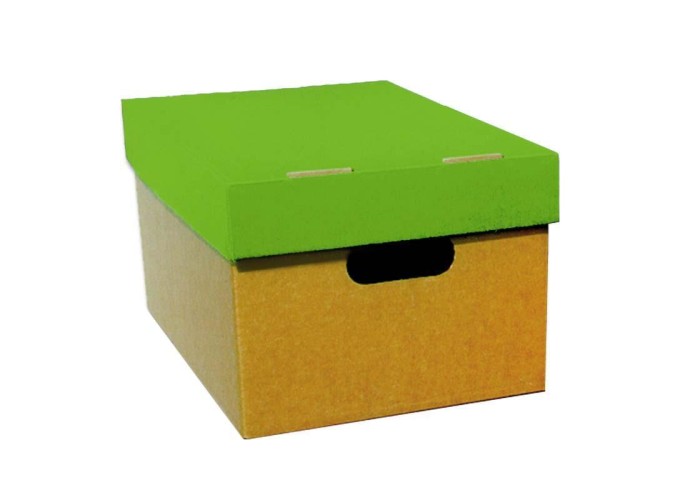 Νext κουτί classic λαχανί καπάκι Α4 Υ18x23x32εκ.