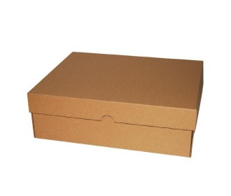 Next κουτί κραφτ Υ10x31x25εκ. Α4+, με αναδιπλούμενο καπάκι, μικροβέλε, οικολογικό Next κουτί κραφτ Υ10x31x25εκ. Α4+, με αναδιπλούμενο καπάκι, μικροβέλε, οικολογικό