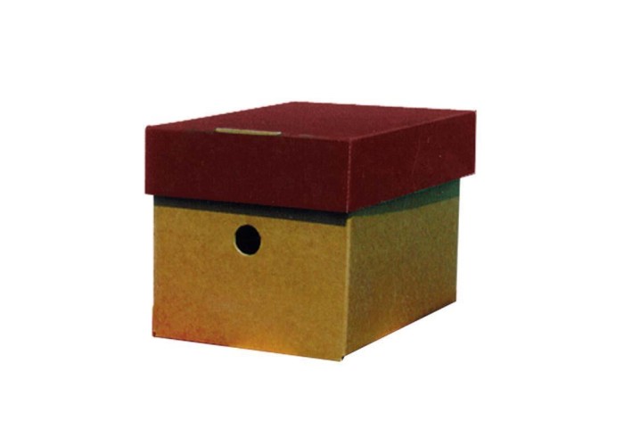 Νext κουτί classic μπορντώ καπάκι Α5 Υ16x16x22εκ. Νext κουτί classic μπορντώ καπάκι Α5 Υ16x16x22εκ.