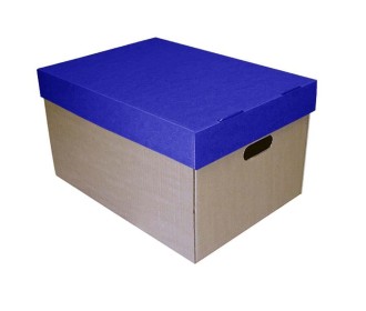 Νext κουτί μπλε καπάκι Υ30x53x38εκ.