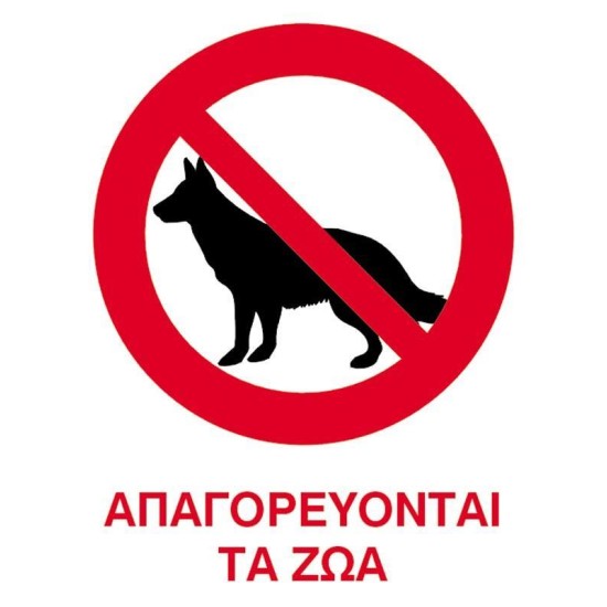 Next επιγραφή αυτοκόλλητο Next επιγραφή αυτοκόλλητο