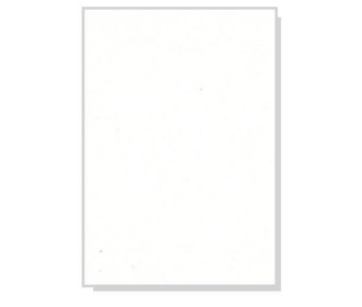 Χαρτόνι λευκό FBB, 50τεμ, Α4 250γρ. Χαρτόνι λευκό FBB, 50τεμ, Α4 250γρ.