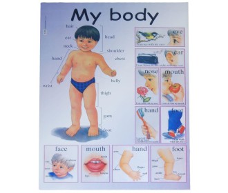 Next εκπαιδευτική αφίσα 