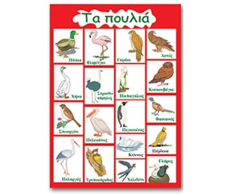 Next εκπαιδευτική αφίσα 