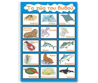 Next εκπαιδευτική αφίσα 