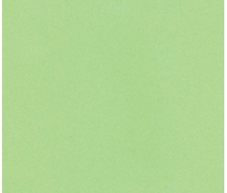 Χαρτί φωτοαντ. πράσινο, Α4, 80γρ, 500φ. Χαρτί φωτοαντ. πράσινο, Α4, 80γρ, 500φ.