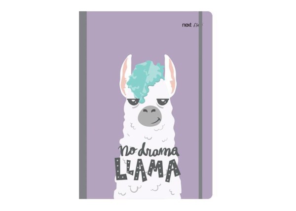 Next trends lama τετράδιο flexi λάστιχο 21x29εκ. 2θεμ. 80φ.