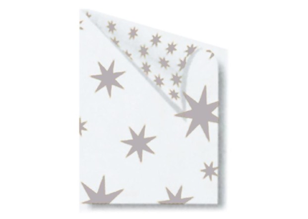 Rainbow χαρτόνι λευκό με ασημί αστέρια 50x70εκ. Rainbow χαρτόνι λευκό με ασημί αστέρια 50x70εκ.