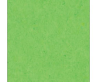 Χαρτόνι λαχανί 70x100εκ. 160γρ. Χαρτόνι λαχανί 70x100εκ. 160γρ.