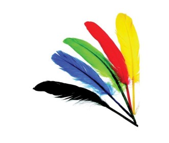 Φτερά ινδιάνου διάφορα χρώματα 12-15εκ.