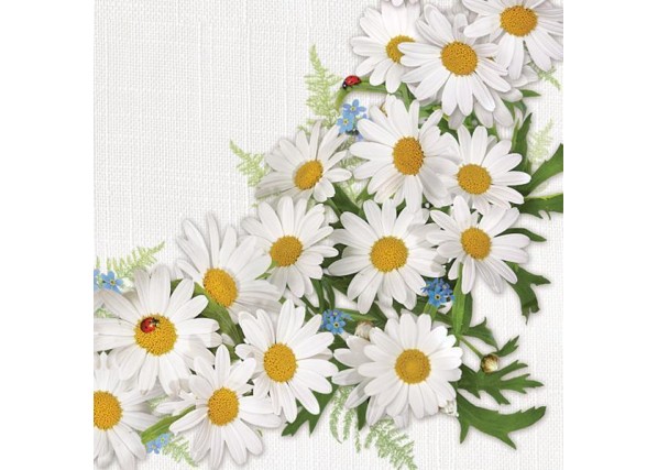 Χαρτοπετσέτες 20τεμ.  Χαρτοπετσέτες 20τεμ.