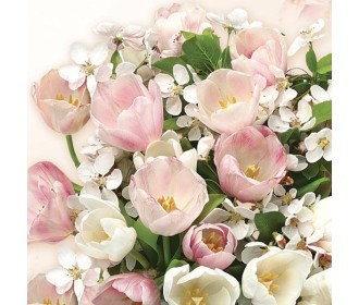 Χαρτοπετσέτες 20τεμ. 33x33εκ 