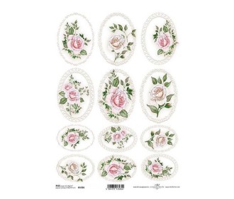 Ριζόχαρτο  Ριζόχαρτο