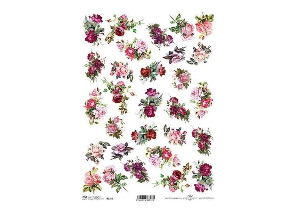 Ριζόχαρτο  Ριζόχαρτο