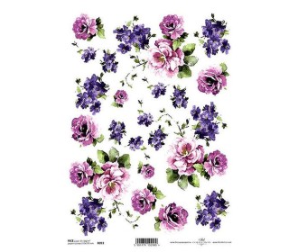 Ριζόχαρτο  Ριζόχαρτο